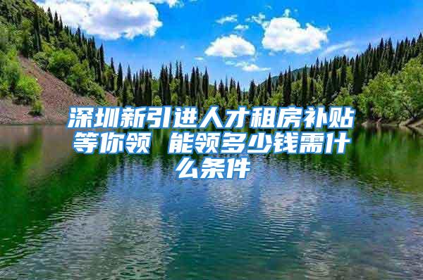 深圳新引進人才租房補貼等你領 能領多少錢需什么條件