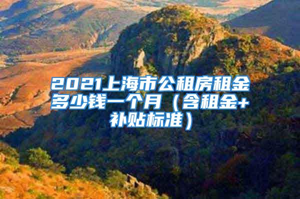 2021上海市公租房租金多少錢一個月（含租金+補貼標準）