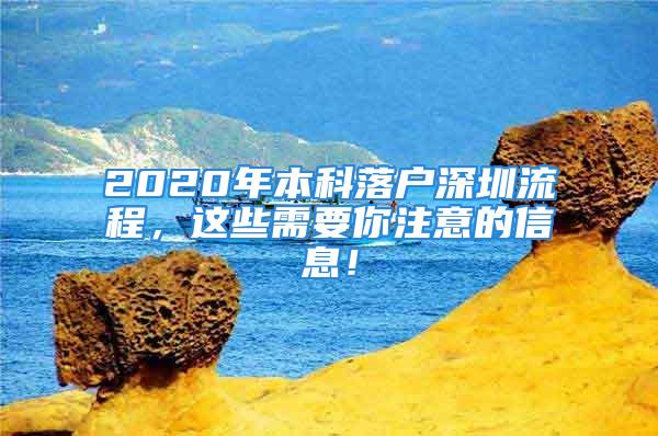 2020年本科落戶深圳流程，這些需要你注意的信息！