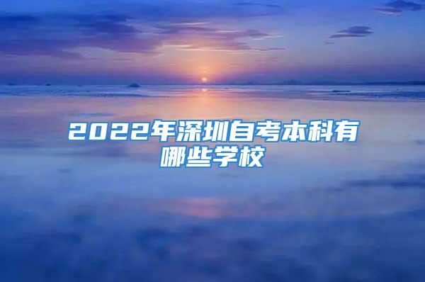 2022年深圳自考本科有哪些學校