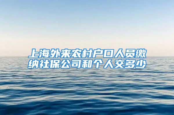 上海外來農村戶口人員繳納社保公司和個人交多少