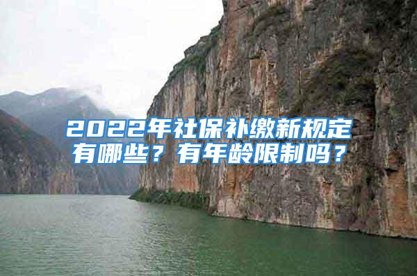 2022年社保補繳新規定有哪些？有年齡限制嗎？