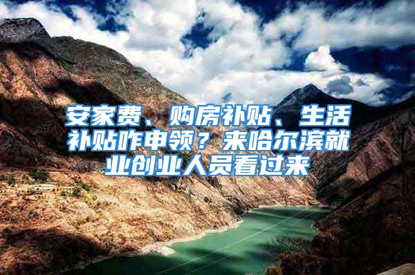 安家費、購房補貼、生活補貼咋申領？來哈爾濱就業創業人員看過來