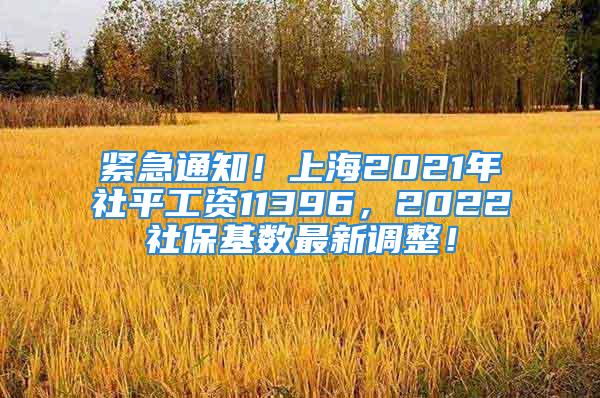 緊急通知！上海2021年社平工資11396，2022社?；鶖底钚抡{整！