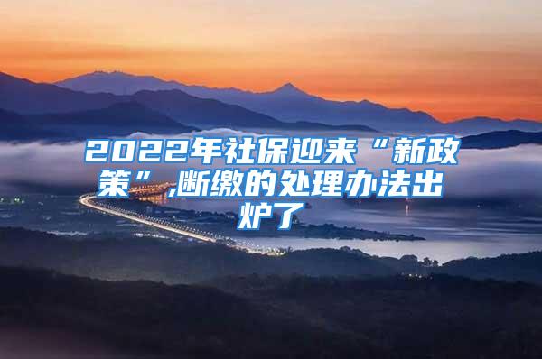 2022年社保迎來“新政策”,斷繳的處理辦法出爐了