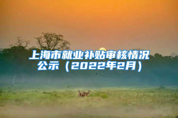 上海市就業補貼審核情況公示（2022年2月）