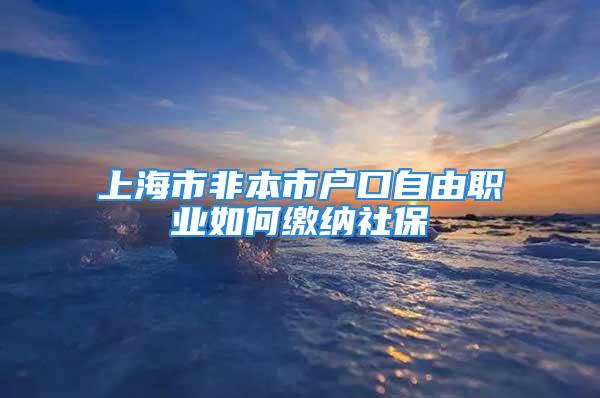 上海市非本市戶口自由職業如何繳納社保