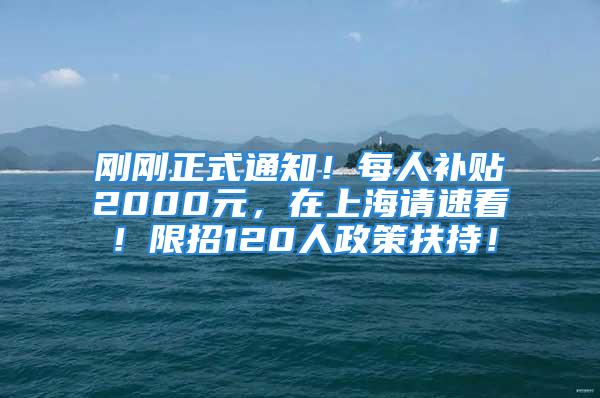 剛剛正式通知！每人補貼2000元，在上海請速看！限招120人政策扶持！