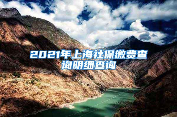 2021年上海社保繳費查詢明細查詢