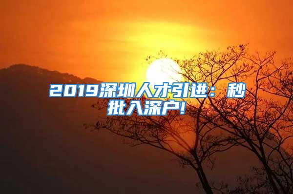 2019深圳人才引進：秒批入深戶!