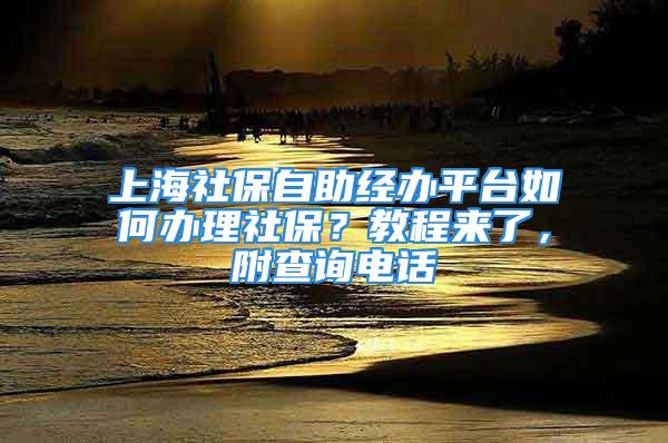 上海社保自助經辦平臺如何辦理社保？教程來了，附查詢電話