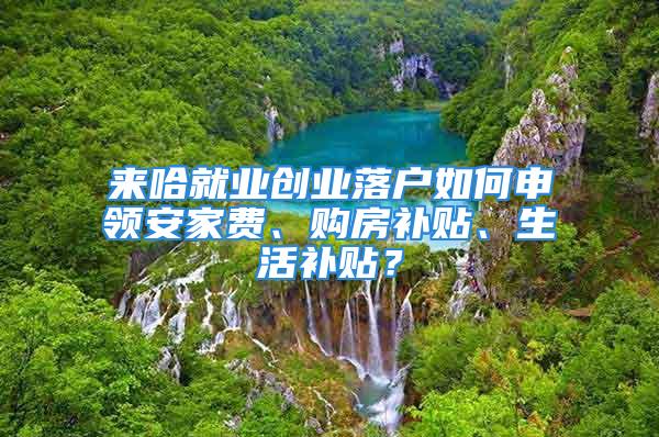 來哈就業創業落戶如何申領安家費、購房補貼、生活補貼？