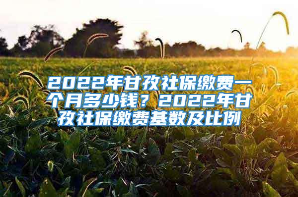 2022年甘孜社保繳費一個月多少錢？2022年甘孜社保繳費基數及比例