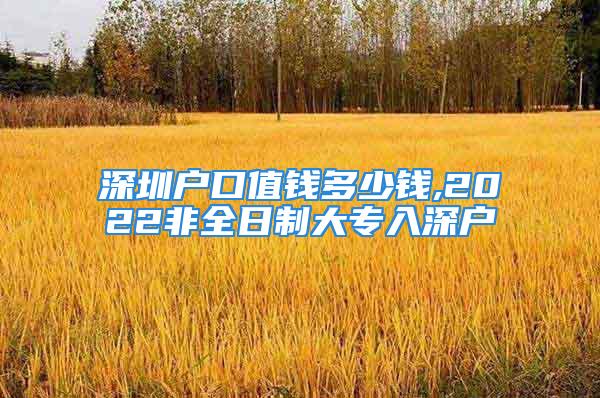 深圳戶口值錢多少錢,2022非全日制大專入深戶