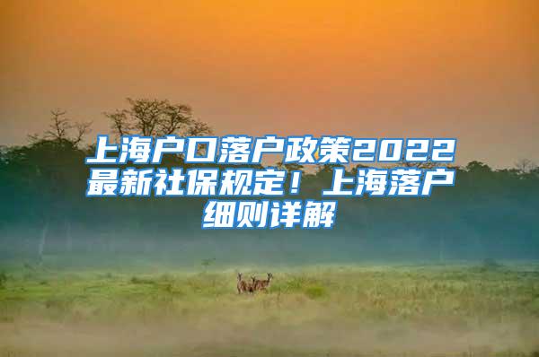 上海戶口落戶政策2022最新社保規定！上海落戶細則詳解