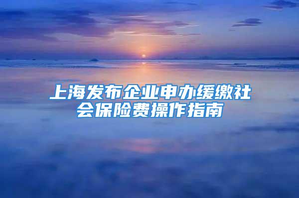 上海發布企業申辦緩繳社會保險費操作指南