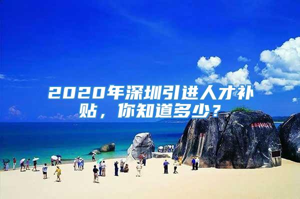 2020年深圳引進人才補貼，你知道多少？