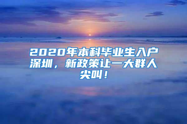 2020年本科畢業生入戶深圳，新政策讓一大群人尖叫！