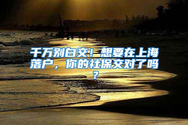 千萬別白交！想要在上海落戶，你的社保交對了嗎？