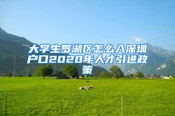 大學生羅湖區怎么入深圳戶口2020年人才引進政策