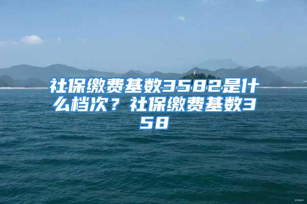 社保繳費基數3582是什么檔次？社保繳費基數358