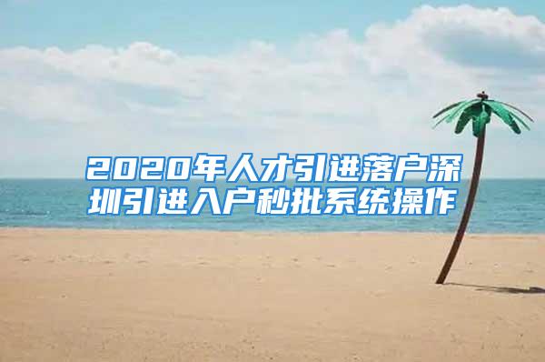 2020年人才引進落戶深圳引進入戶秒批系統操作