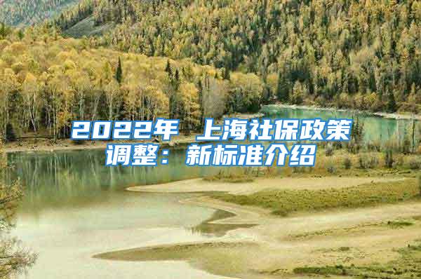 2022年 上海社保政策調整：新標準介紹