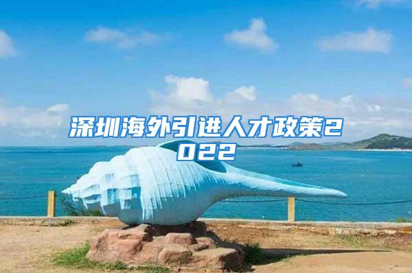 深圳海外引進人才政策2022