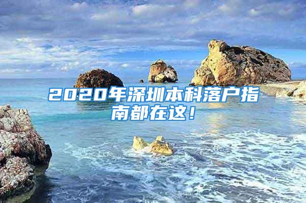 2020年深圳本科落戶指南都在這！