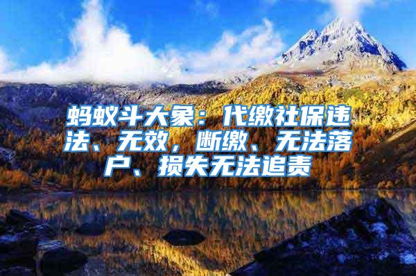 螞蟻斗大象：代繳社保違法、無效，斷繳、無法落戶、損失無法追責