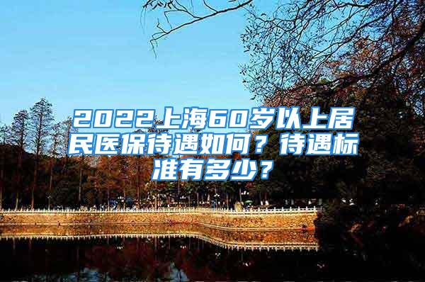 2022上海60歲以上居民醫保待遇如何？待遇標準有多少？