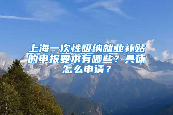 上海一次性吸納就業補貼的申報要求有哪些？具體怎么申請？