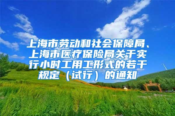 上海市勞動和社會保障局、上海市醫療保險局關于實行小時工用工形式的若干規定（試行）的通知