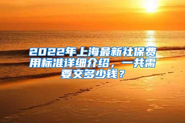 2022年上海最新社保費用標準詳細介紹，一共需要交多少錢？