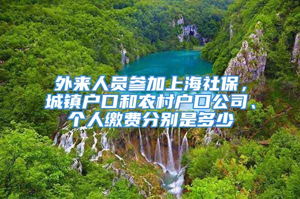 外來人員參加上海社保，城鎮戶口和農村戶口公司、個人繳費分別是多少