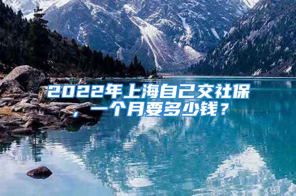 2022年上海自己交社保，一個月要多少錢？