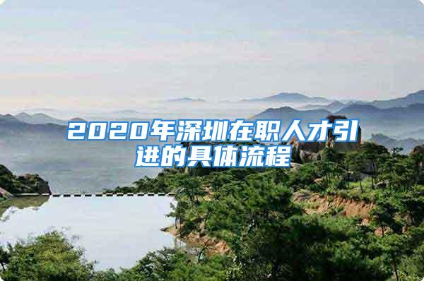 2020年深圳在職人才引進的具體流程