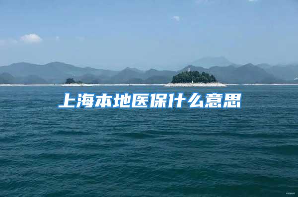 上海本地醫保什么意思