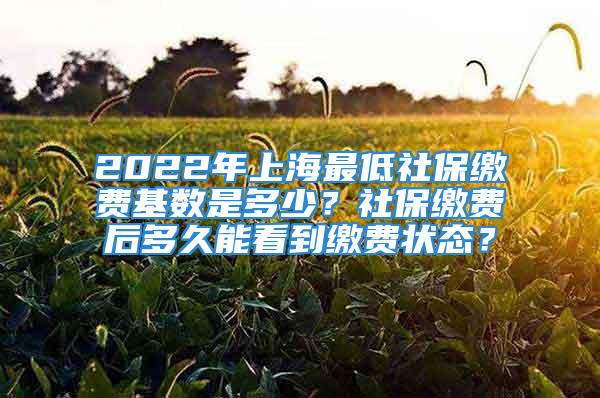 2022年上海最低社保繳費基數是多少？社保繳費后多久能看到繳費狀態？