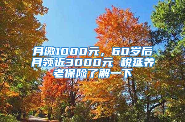 月繳1000元，60歲后月領近3000元 稅延養老保險了解一下