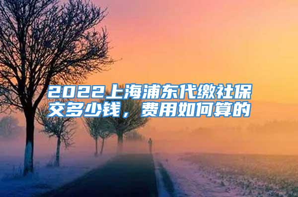 2022上海浦東代繳社保交多少錢，費用如何算的