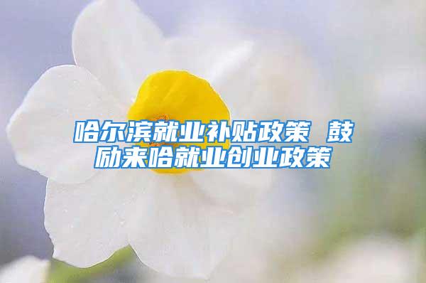 哈爾濱就業補貼政策 鼓勵來哈就業創業政策