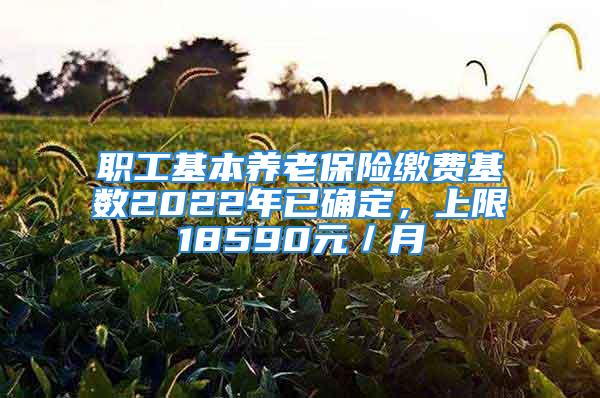 職工基本養老保險繳費基數2022年已確定，上限18590元／月