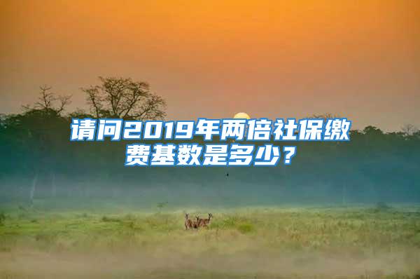 請問2019年兩倍社保繳費基數是多少？