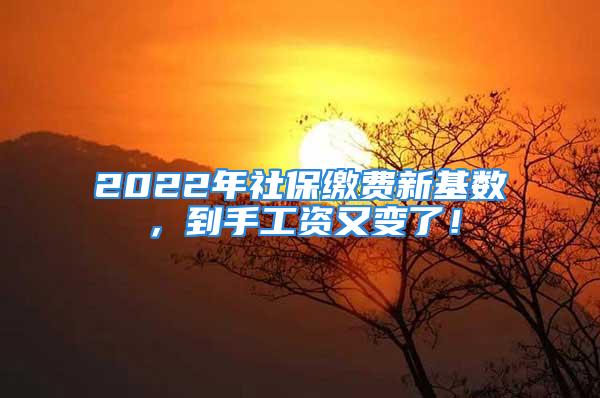 2022年社保繳費新基數，到手工資又變了！