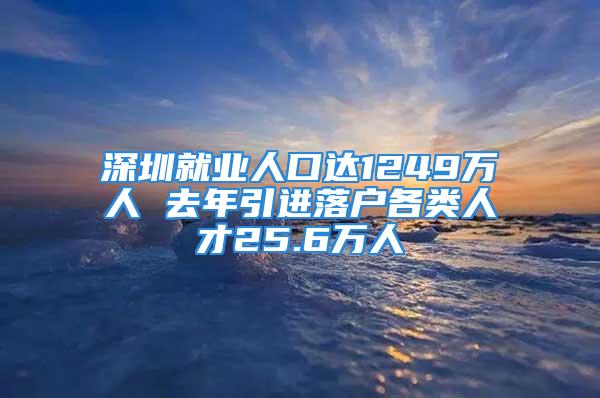 深圳就業人口達1249萬人 去年引進落戶各類人才25.6萬人