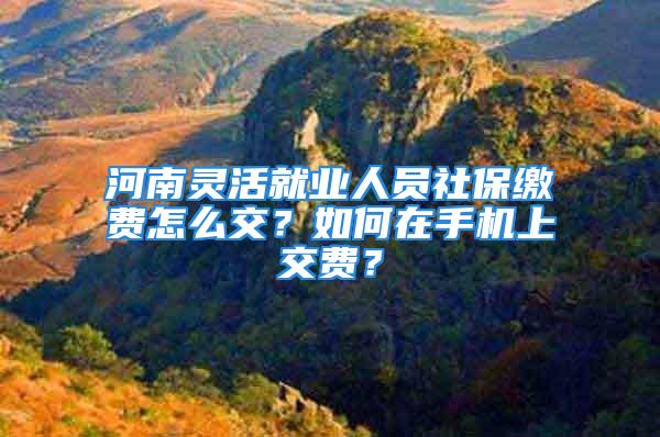 河南靈活就業人員社保繳費怎么交？如何在手機上交費？