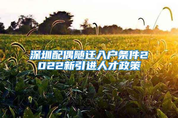 深圳配偶隨遷入戶條件2022新引進人才政策