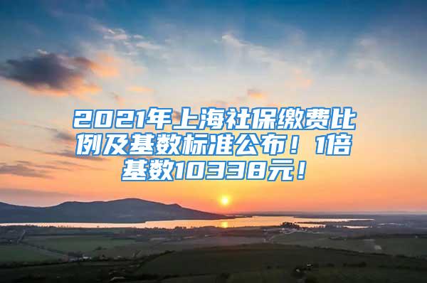 2021年上海社保繳費比例及基數標準公布！1倍基數10338元！