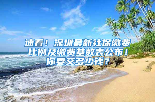 速看！深圳最新社保繳費比例及繳費基數表公布！你要交多少錢？